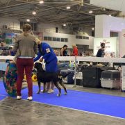 Banda Vom Gross Grunberg