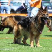 Barina z Wilczego Wzgórza