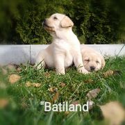BATILAND 2