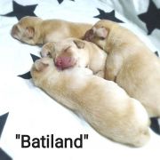 Batiland 3