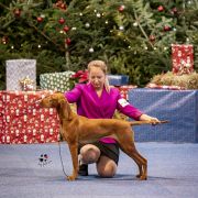 BAYLEE Foloowing The Scent FCI