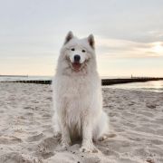 B'ZOE OF IDOL Magia Syberii 