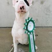 BALTONA Celebrities Base