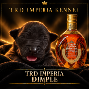 TRD IMPERIA DIMPLE