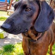 CHANELL Posokowce z Weroniki