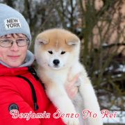 BENJAMIN SENZO NO REI