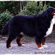 Bentley z Cichej Górki 2