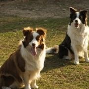 BEST BRAND at Real Pearl