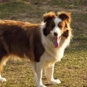 BEST BRAND at Real Pearl