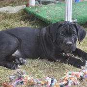 BESTSELLER Your Destiny FCI