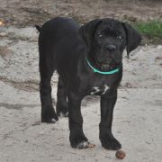 BESTSELLER Your Destiny FCI