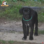 BESTSELLER Your Destiny FCI