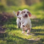 Eva Mon Tresor d'Amour