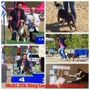 ​Ring Legend's Ronda Rosy