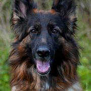 Arrakis vom Rikor Team 