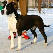 Bhargavi Crazy Staff