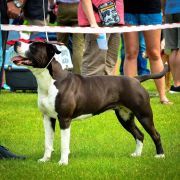 Bhargavi Crazy Staff 2