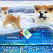 BIANKA SENZO NO REI