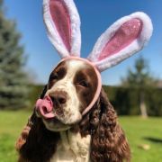 BIANKA Słoneczne Sny