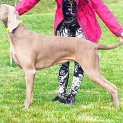 Bitter Sweet Love Emerald Marvel