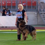 Black Jack Urban Team 4