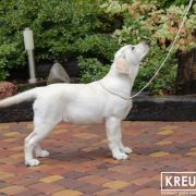 BLUE HOPE Kreuzburg 2