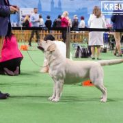 BLUE HOPE Kreuzburg 3