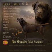 Blue Mountains Laba Arcturus