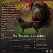 Blue Mountains Laba Arcturus