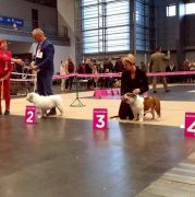 BONNIE Fortitudo Alesco 4