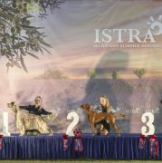 BONNIE Rusty Ark FCI