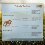 BONNIE Rusty Ark FCI