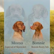 BONNIE Rusty Ark FCI