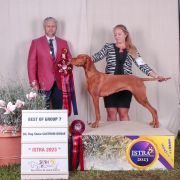 BONNIE Rusty Ark FCI