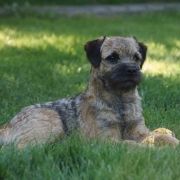 Brankell MASTERMIND 2