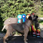 Brankell MASTERMIND 3