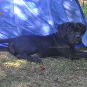 BREATHTAKING Your Destiny FCI