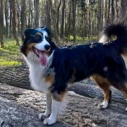 BRENDY Różany Gaj 2