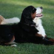 BRIDGET DOM WSZYSTKICH DUSZ