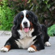 BRIDGET DOM WSZYSTKICH DUSZ 2