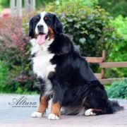 BRIDGET DOM WSZYSTKICH DUSZ 3