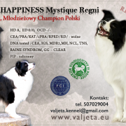 BRING ME HAPPINESS Mystique Regni 