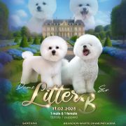 BUBBLE FLUFF IRIS PET