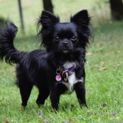 BURLESKA z Samotni Christa 