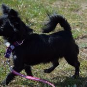 BURLESKA z Samotni Christa 2