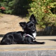 BURLESKA z Samotni Christa 3