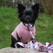 BURLESKA z Samotni Christa 4