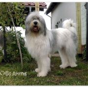 GENEVIEVE de Pont Euxn