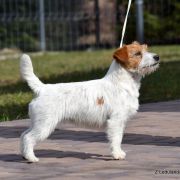 CHPL Z Ledulandu BARBIE-BARA