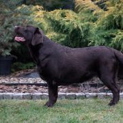 Happy Hana Tęczowy Gaj